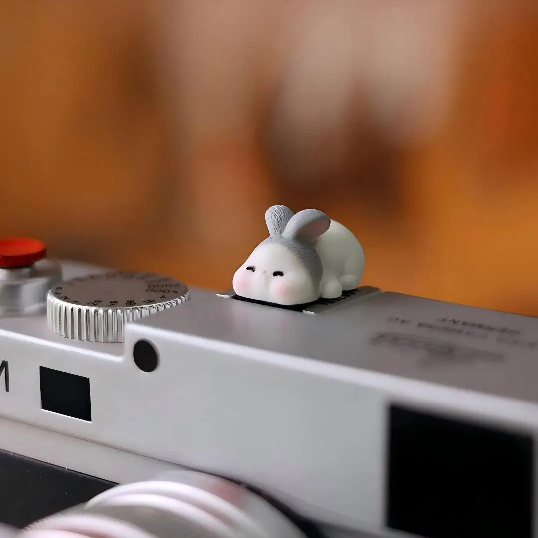 Komik Tasarımlı, Evrensel Kull - Sony Camera Zv-E10 incelemesi ve fiyatı